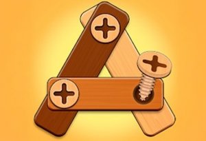 Logic Puzzle: Screw Challenge