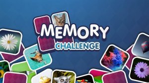 Card Recall Picture Pairs