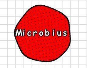 Microbius Puzzle Challenge