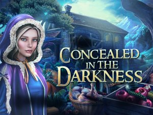 Shadows of the Past Puzzle Journey