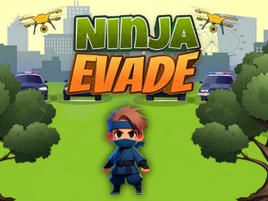 Ninja Evade Adventure