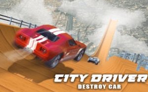 City Driver Collision Challenge